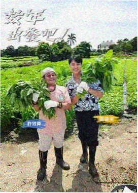 YY4410影视电视剧 奔跑吧兄弟 最新更新